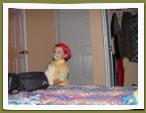 DSC03594.JPG